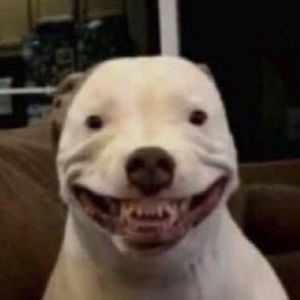 Meet your Posher, Katherine